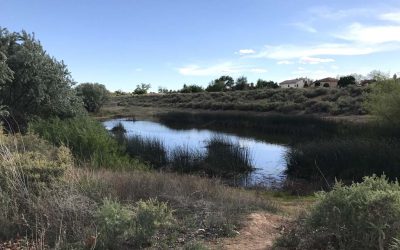 Mariposa Basin Park 5K