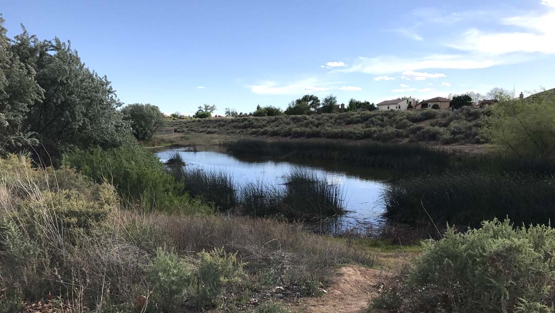 Mariposa Basin Park 5K