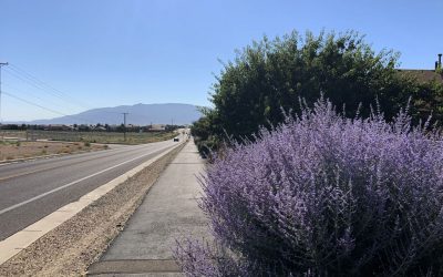 Trails Ventana Ranch 4 Mile Loop