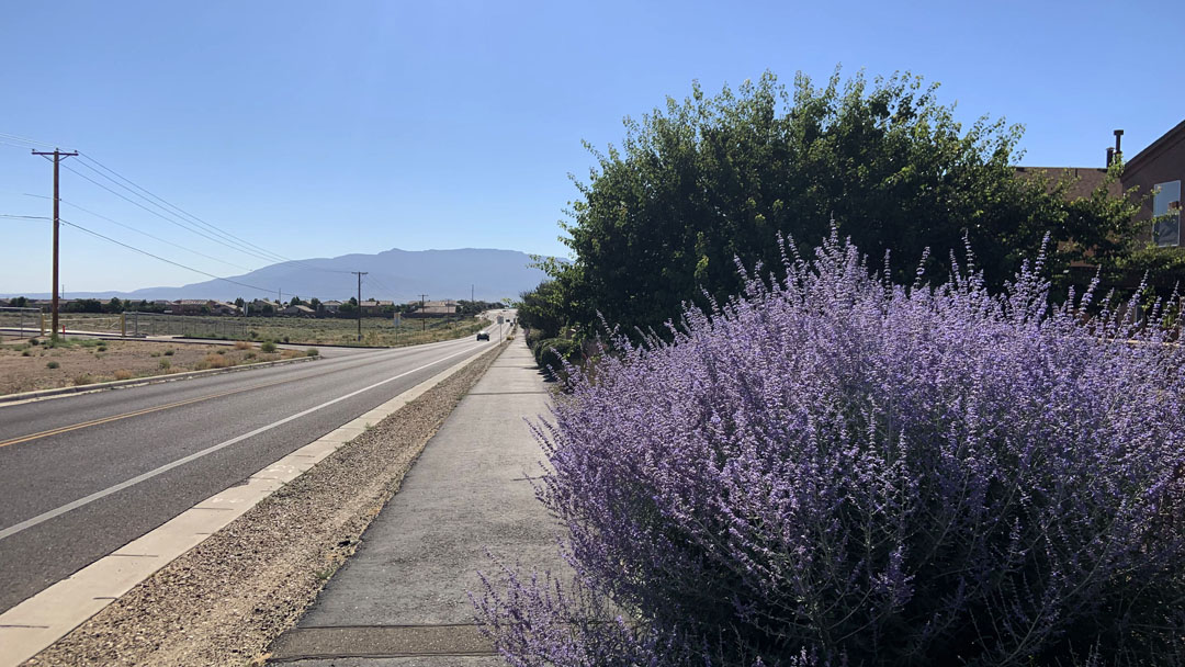 Trails Ventana Ranch 4 Mile Loop